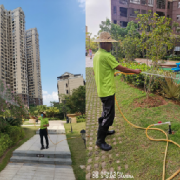 惠州園林綠化服務